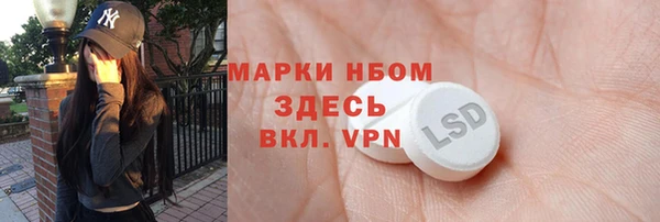 сатива Арсеньев
