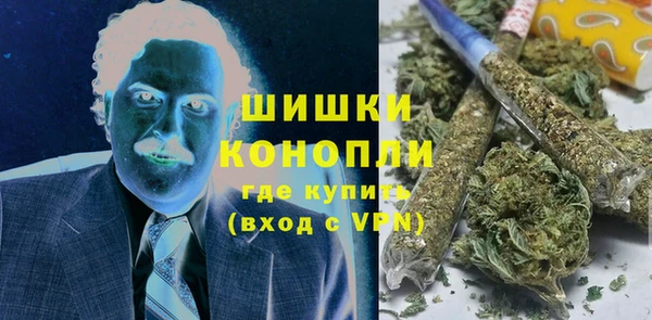 сатива Арсеньев