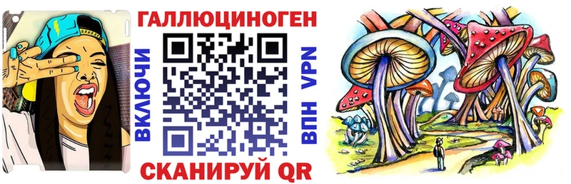 Псилоцибиновые грибы GOLDEN TEACHER  кракен сайт  Унеча 